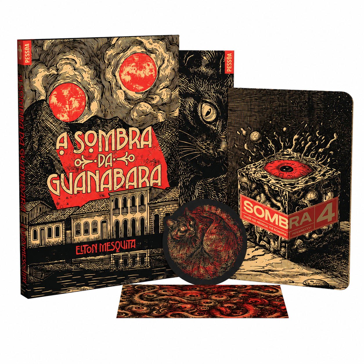 A Sombra da Guanabara